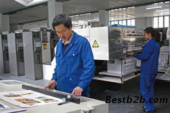 创新图文设计专业 打造高效打草机宣传册与说明书